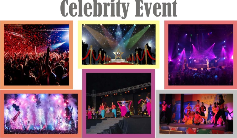 Concert Management,theme parties,event management services for concert